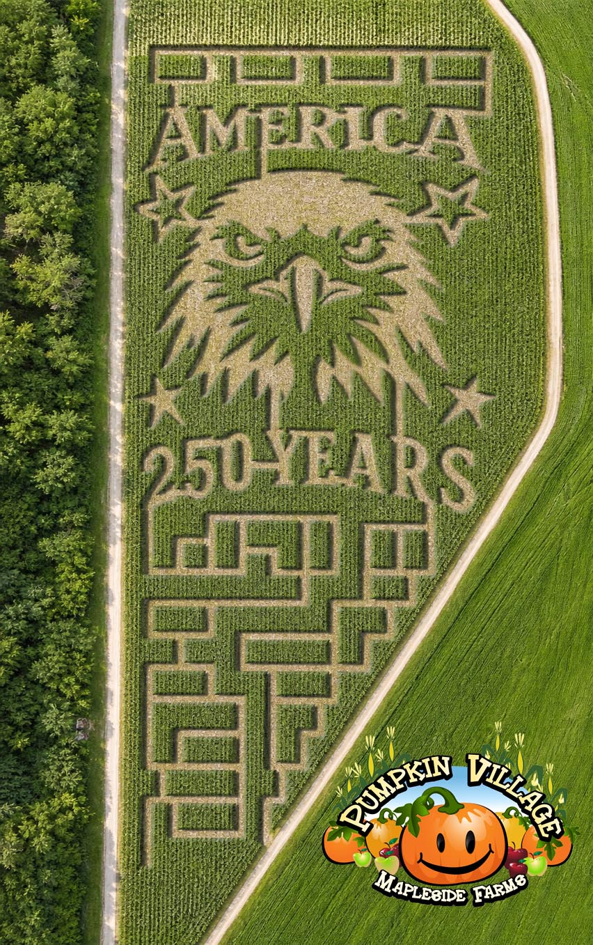 Aerial view of the 2026 Mapleside corn maze: a giant bald eagle, stars, and flag-inspired pathways carved into seven acres of corn for America's 250th anniversary